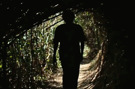 Animação Cartazes 25-26